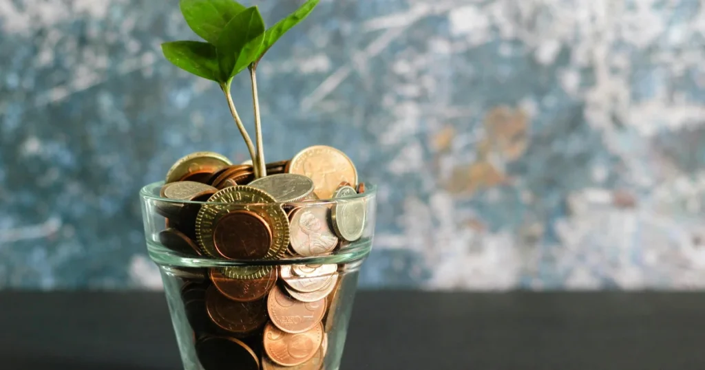 Best Credit Cards for Beginners in 2025: Build Credit the Smart Way