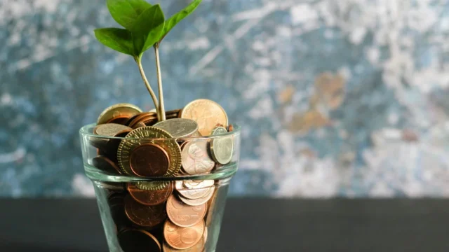 Best Credit Cards for Beginners in 2025: Build Credit the Smart Way